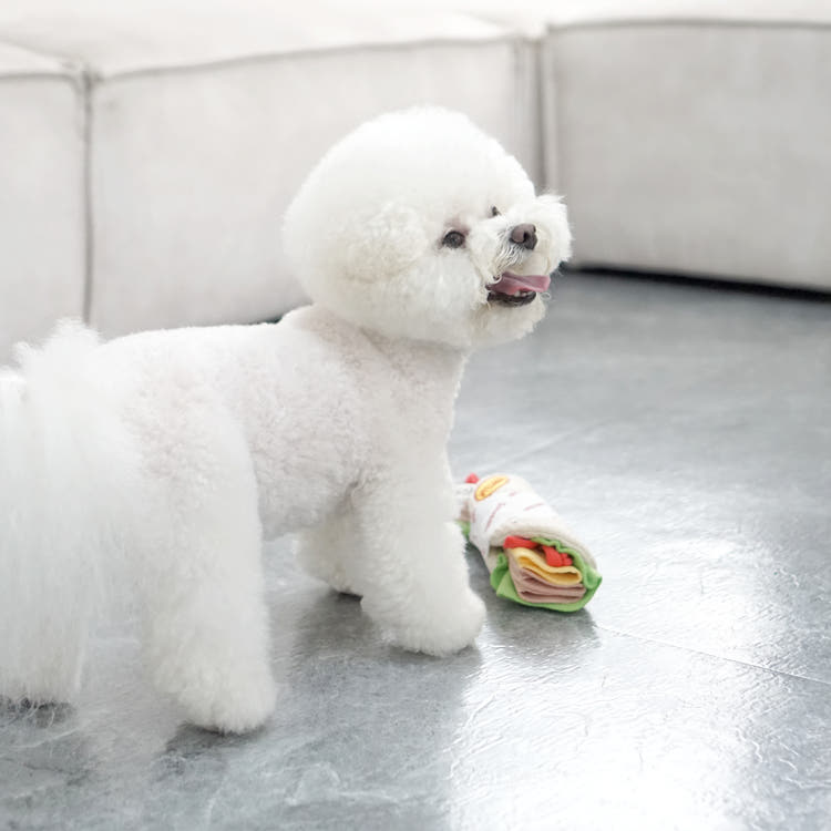 Dingdok Nosework Tortilla Difficult Toy, High Difficulty