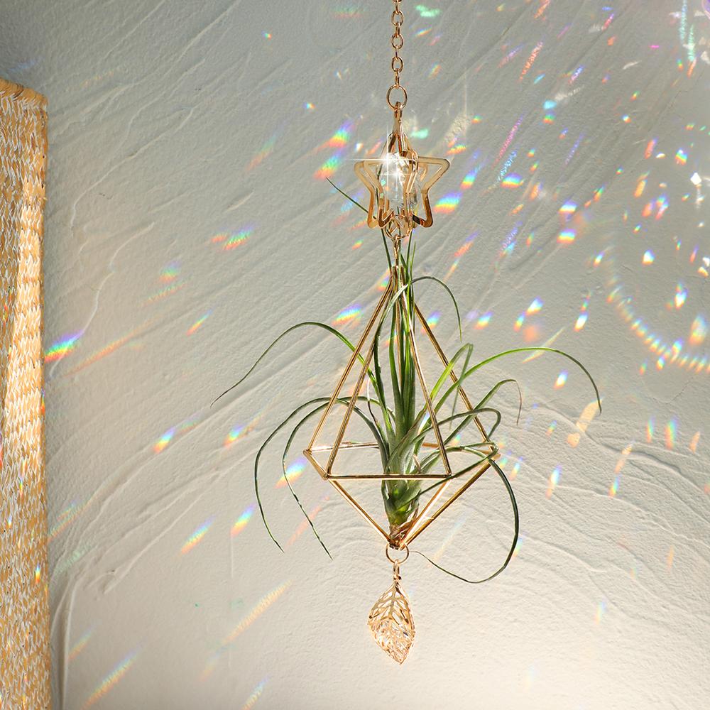 Garden Suncatchers Gold Hanging Air Plant Holder Tillandsia Air Plants Hanger Air Fern Display Planter with Crystal Home Decor