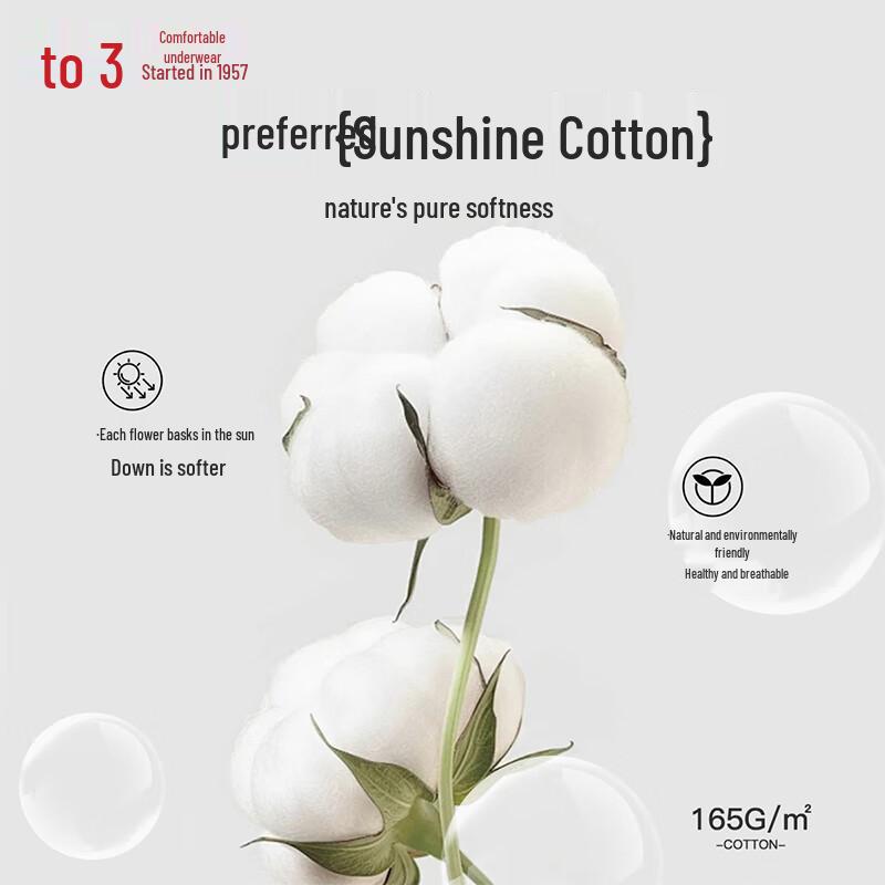 Hongdou Women's Cotton Blend High-Waist Briefs (7A Antibacterial)