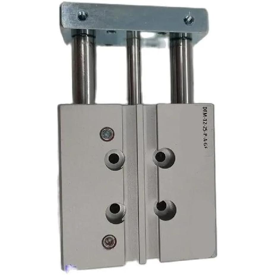 DFM-12-10/20/25/30/40/50/75/80/100-P-A-GF Cylinder(DFM-12-80-P-A-GF)