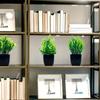 New Bonsai Artificial Bonsai Fake Plant Artificial Eucalyptus Potted Plant with Pot Potted Ornaments Table Decor