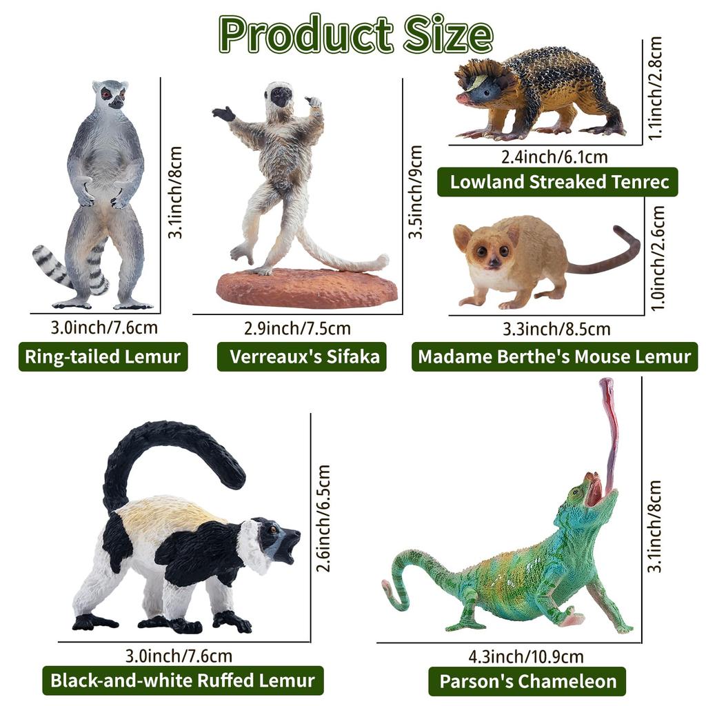 TOYMANY Madagascar Animal Figures, 12-Piece Hand-Painted Educational Set