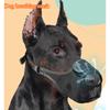 Popular Dog Mouth Cover Anti Eating Muzzle Mesh Breathable Dog Mask Safety Anti Strangling Dog Mouth