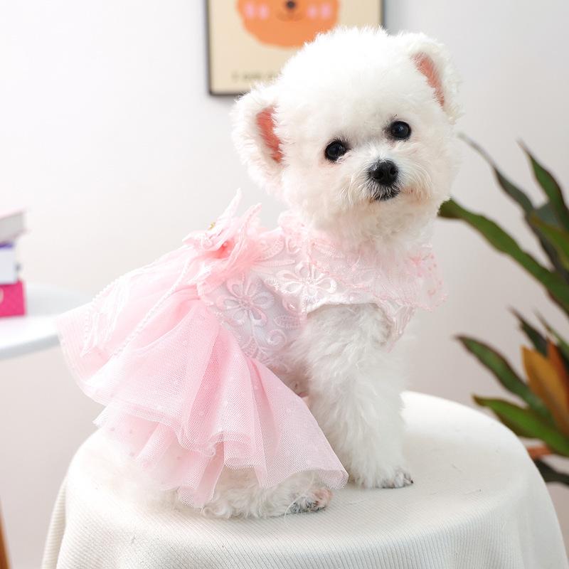 PETCIRCLE Summer Puffy Gauze Skirt Pet Clothes, Peach Bubble Cat  Dog Wedding Dress for Small Dogs Pomeranian Teddy