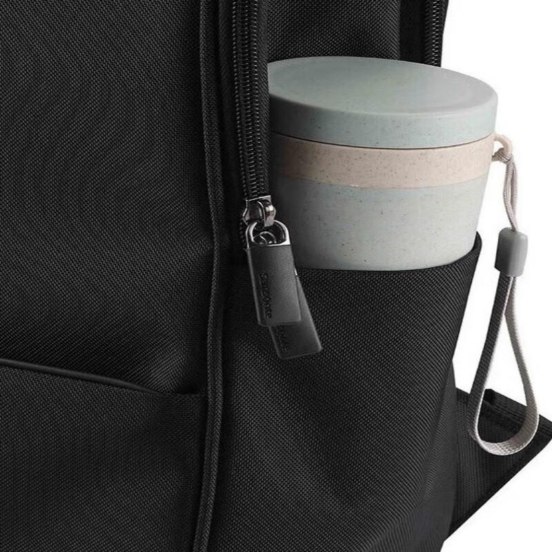 Samsonite Business Laptop Backpack