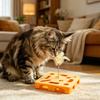 Interactive Puzzle Toy for Cats Puzzle Box with Jingle Balls Spring Feather Wand Cat Enrichment Toy for Indoor Cats Mental Stimulation And Exercise