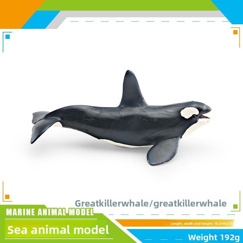 Ensemble de modèles en PVC d'animaux marins pour enfants avec des figures de cétacés réalistes pour le jeu éducatif