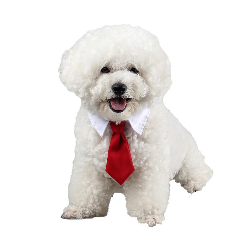 

Cross-Border Foreign Trade Amazon Pet Cat Tie British Gentleman Wedding Bow Tie Accessories Cute Red Black L（Neck Circumference29- красный