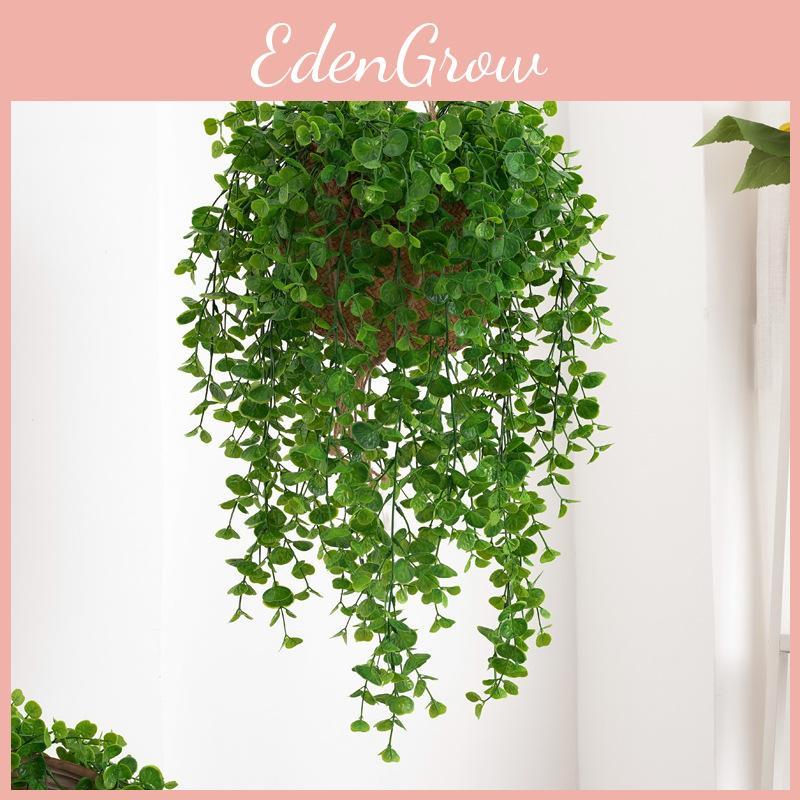 Plant Eucalyptus Wall Plastic Leaves Interior Design Scenes Photography