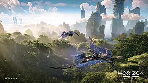 [PS4] Horizon Forbidden West (Neue Preis-Edition) [Exklusiv bei Amazon.co.jp] Original-Hintergrundbild *Aufgrund des Verfallsdatums nicht mehr verfügbar und nicht erhältlich