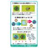 HANAYAMA Toy Awards 2023 Communication Toy Category Excellence TAKUMI ZOO Board Game 267mm X 191mm X 43mm Board Game Made by Elementary School