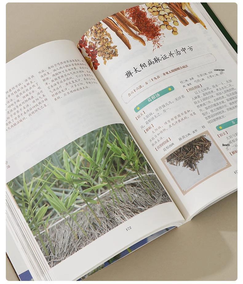 Medical Sage Collection: Zhang Zhongjing's Miraculous Formulas & Treatments with Hua Tuo, Li Shizhen, and Ye Tian's Wisdom