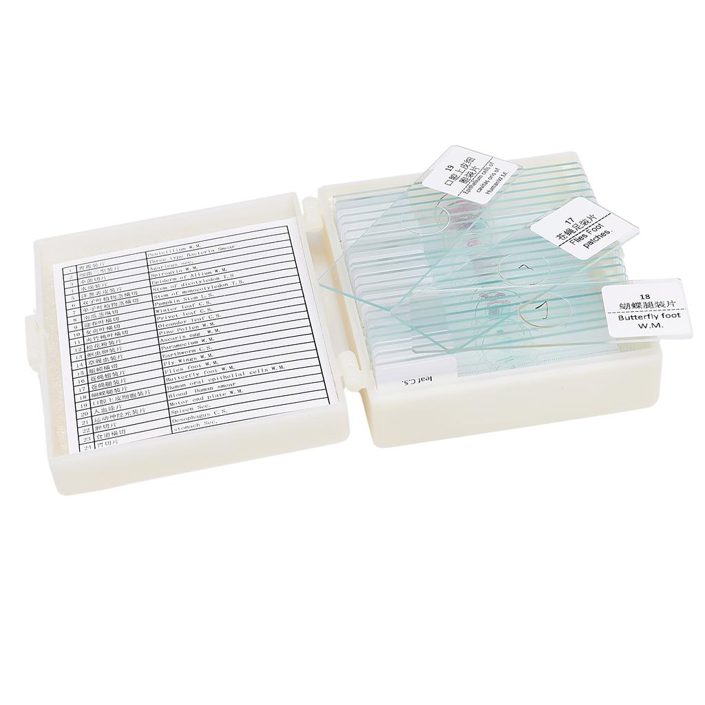 Set Of 25 Microscope Samples