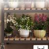 Multi-Tier Movable Flower Pot Stand