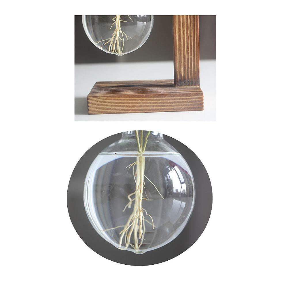 Hydroponic Vase with Wooden Stand Retro Glass Bulb Plant Propagation Station for Home Decoration 1 Container