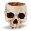 Flower Desk Decorations Sugar Skull Head Skull Planter Fake Skull Skull Flower Pot Candy Bowl