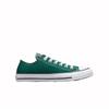 Chuck Taylor All Star Seasonal Color Dragon Scale A04548C