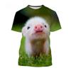 Kleidung für Jungen Süßes Schweinchen 3D-Druck Grafische T-Shirts Jungen- und Mädchenkleidung Sommer Rundhals Kurzarm T-Shirt für einen Jungen