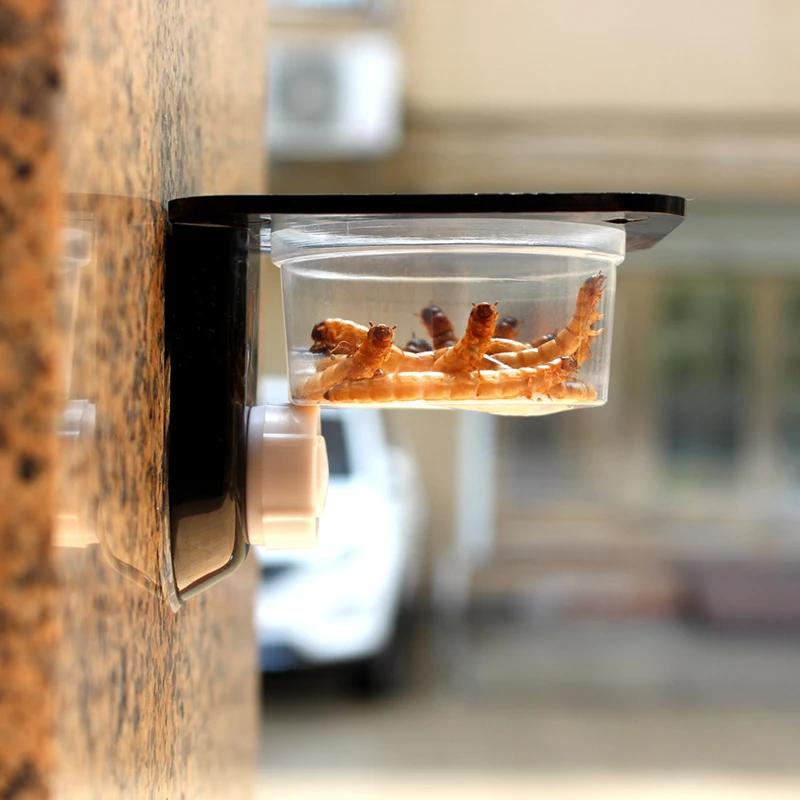 Reptile Terrarium Breeding Bowl Ideal Spider Ant Nest Geckos And Snakes Feeders Water & Food Feeding Box