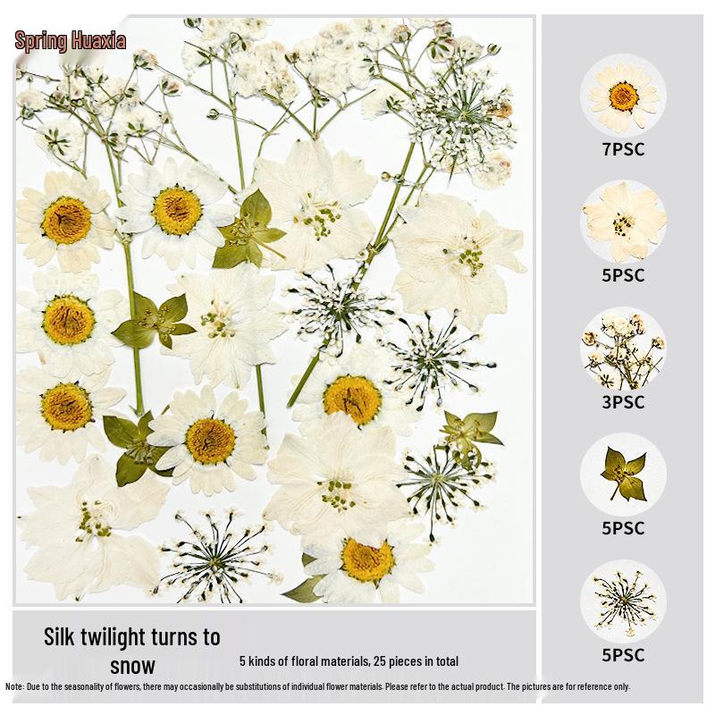 Handmade Pressed Flower Bookmark and Epoxy Sticker Pack with Real Leaf and Plant Specimens for DIY Face Makeup.
