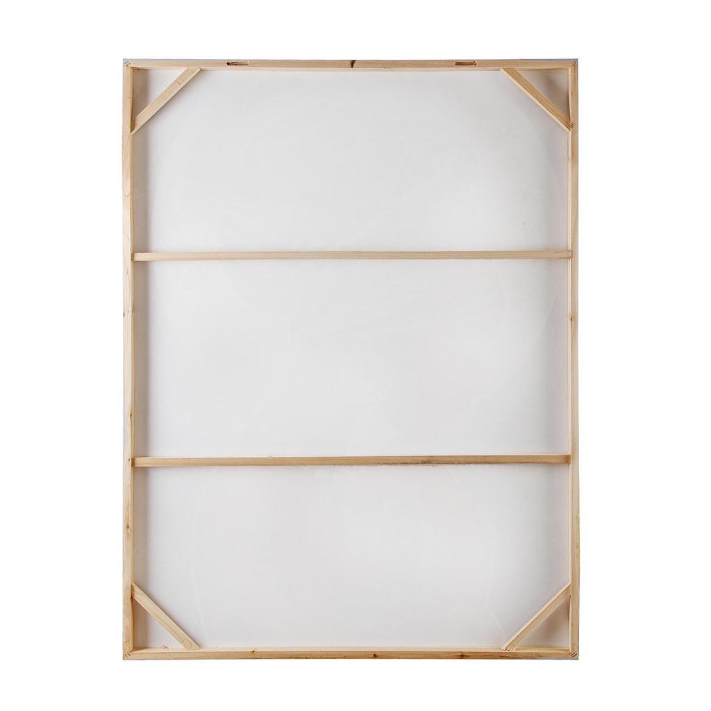 Ethnic Woman Chart 5