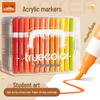 TRUECOLOR Washable Acrylic Marker Pen Set