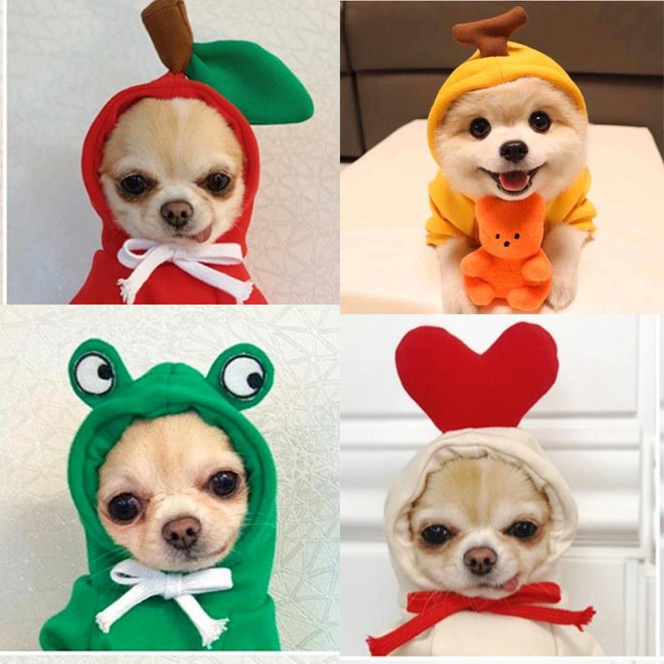 Dog clothes turned into dog cat clothes Small and medium-sized dog autumn and winter pet supplies Teddy Fatou cat clothing