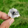 Adjustable – come nell'immagine