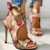 2025 Summer Street Style Fashion Open Toe Women Sandals Thin Heels Hollow Out Printing Gladiator Sandalias Ladies Shoes WSH5312