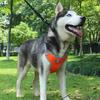 Astro Orange Dog Training Harness, Size Xl