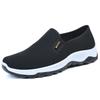 Men's Kung Fu Shoes Breathable Canvas Spring Walking Shoes Non-Slip Wear-Resistant Soft Sole Comfort Lightweight Chinese Style