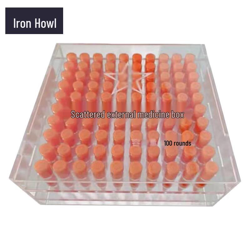 Clear Ammo Storage Box