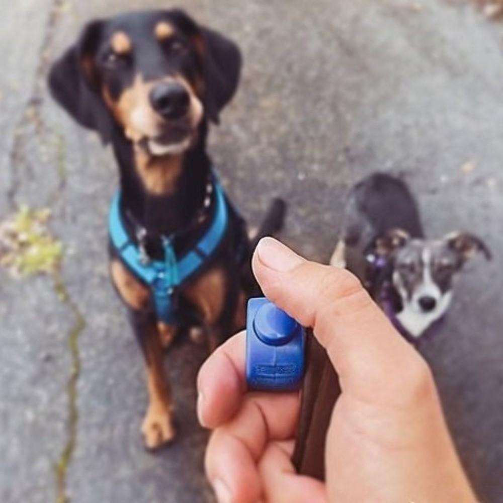 Professioneller Tier-Clicker-Trainer Tragbare Hundetrainings-Clicker Verhaltensmodifikation