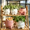 3D Printed Plant Pot Mini Size Flowerpot Landscape Desktop Decoration  Home Decor