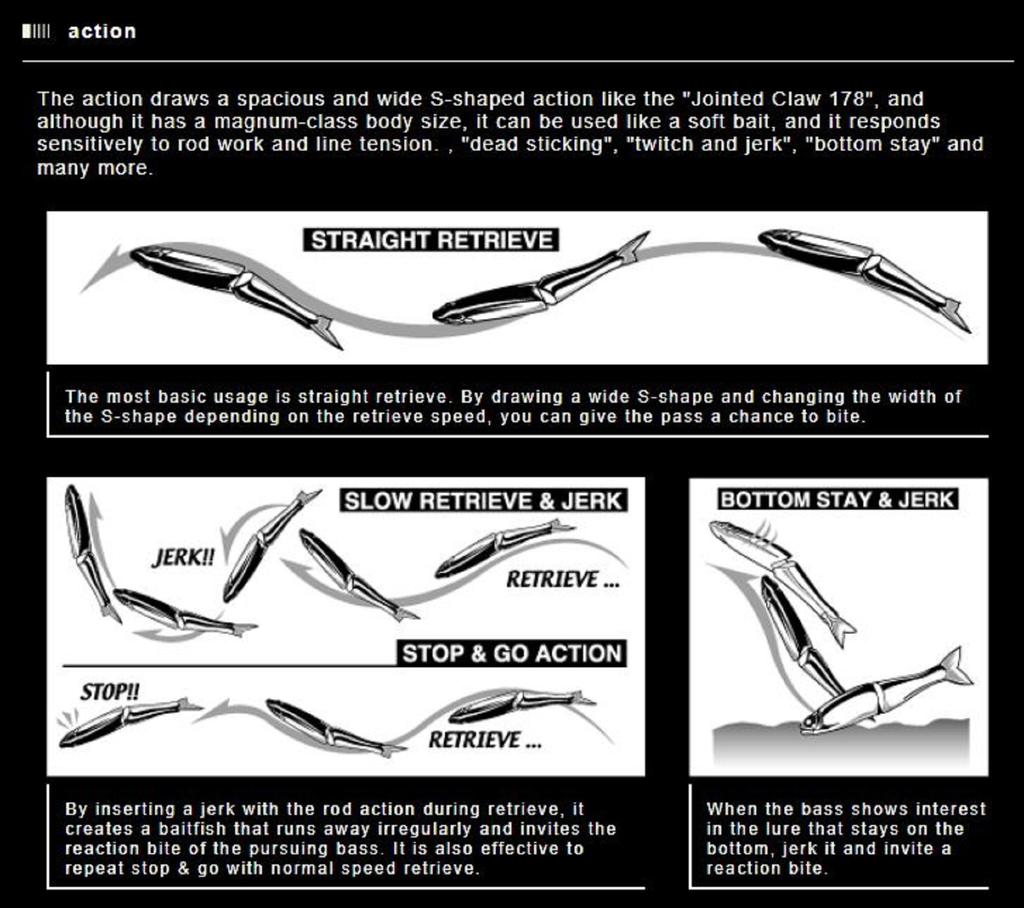 Gan Craft Jointed Claw 230 Magnum Salt Sinking Jointed Lure AS-12 (0748)