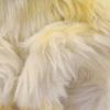 BH6765 HANSA Snub-nosed Monkey 30