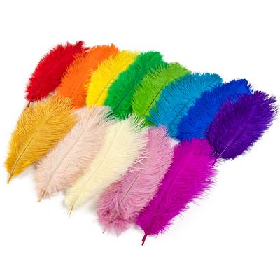10 stuks Pluizige Struisvogelveren voor Knutselen DIY Borduurwerk Natuurlijke Veren Dromenvanger Maken Bruiloft Veren Decoratie 15-30cm