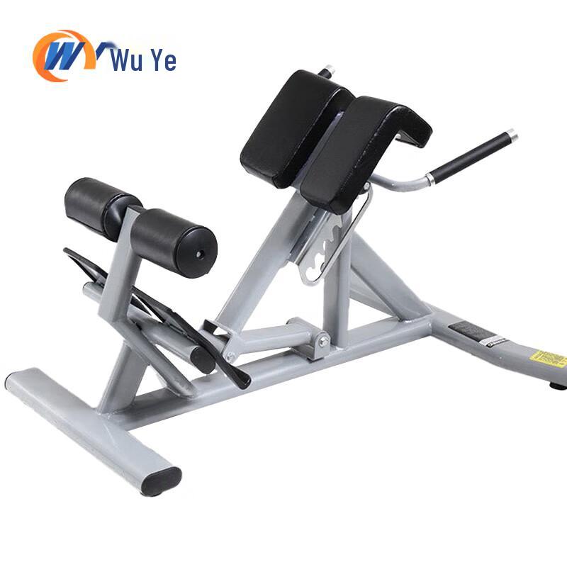 WuYe Adjustable Commercial Roman Chair