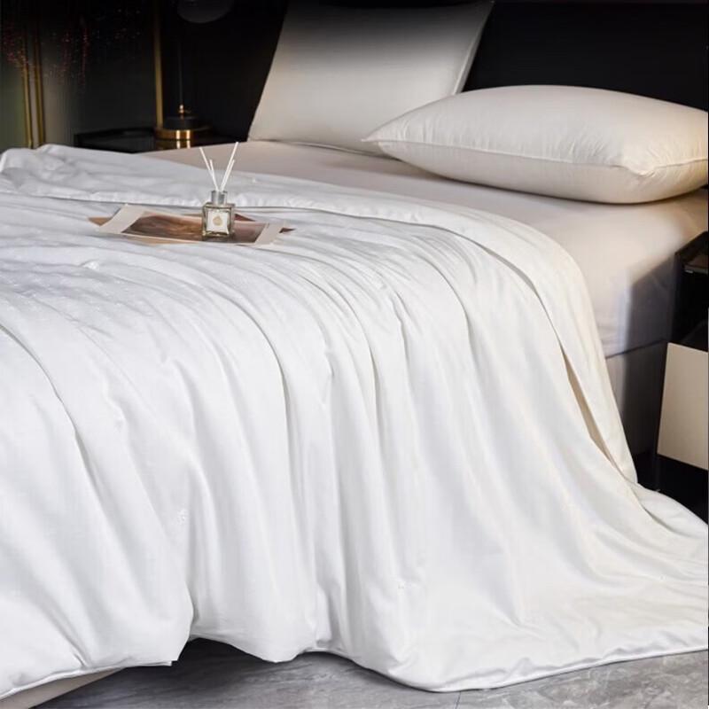 Hodo Chinese Style Tussah Silk Blend Quilt