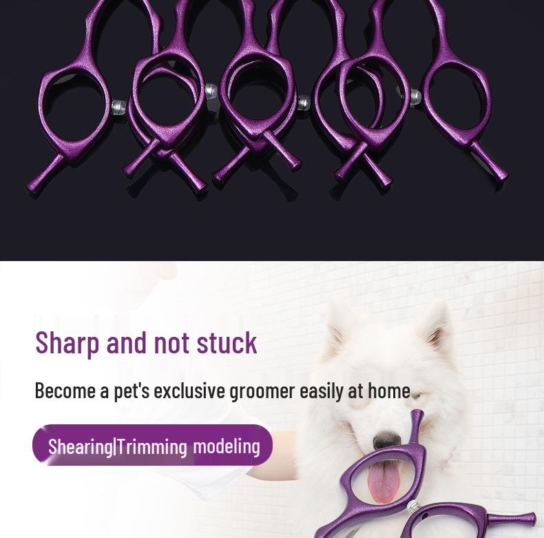 6.5-Inch Purple Pet Grooming Scissors Set: Curved, Upward, Downward, Thinning & Shaping Scissors