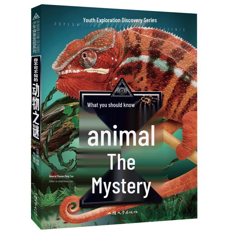 Unsolved Mysteries for Young Explorers Book Series