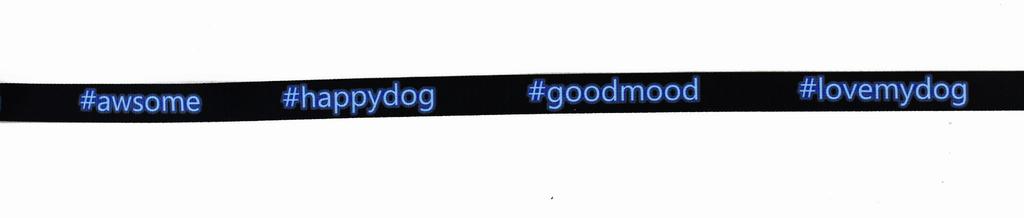 Reversible Leash 2.5cm x 240cm Neon