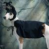 Pet Costume Set Dog Halloween Witch Clothes Cat Cloak Funny Dog Wizard Outfit Mantle Apparel Cosplay Dress for Halloween Party Christmas