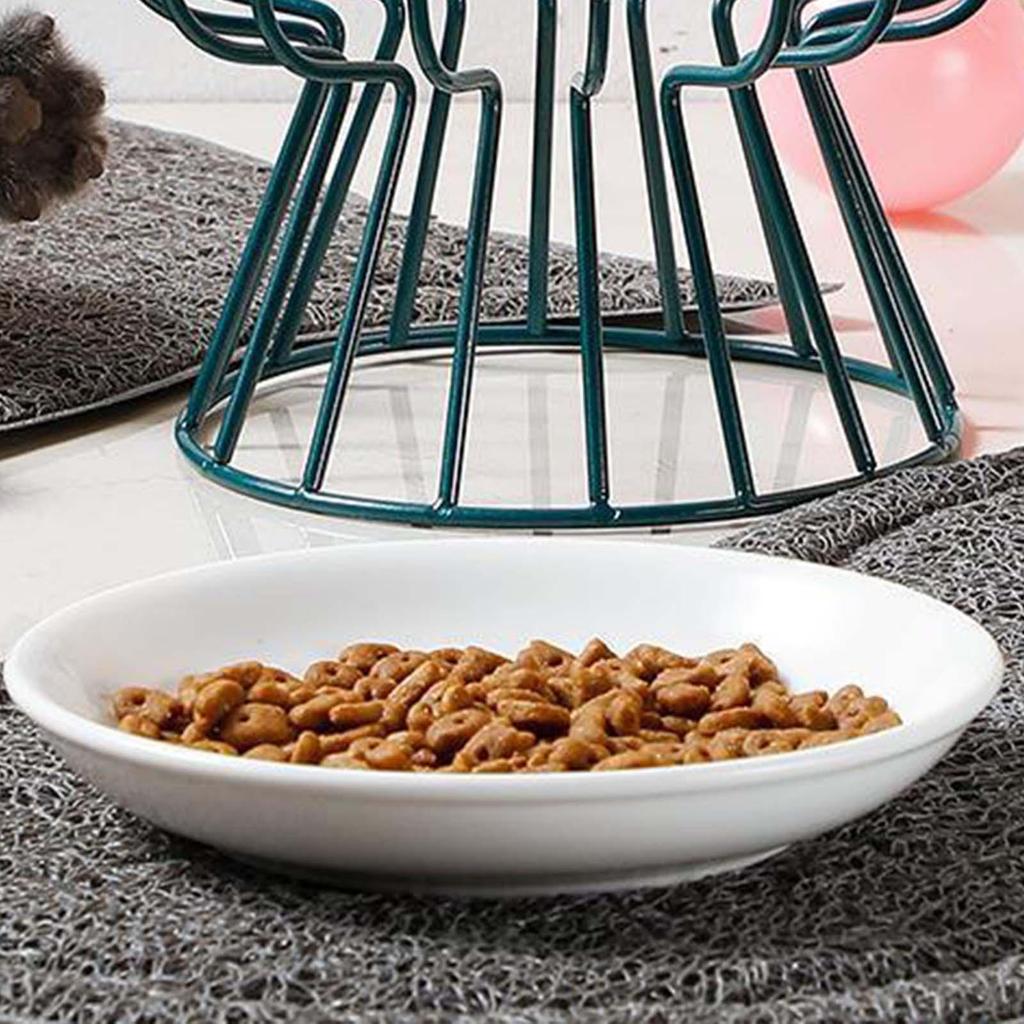 Cat Bowl, Ceramic Pet Bowls, Tilted Raised Stand , Dish Feeder, Perfect for Puppy Cats and Small