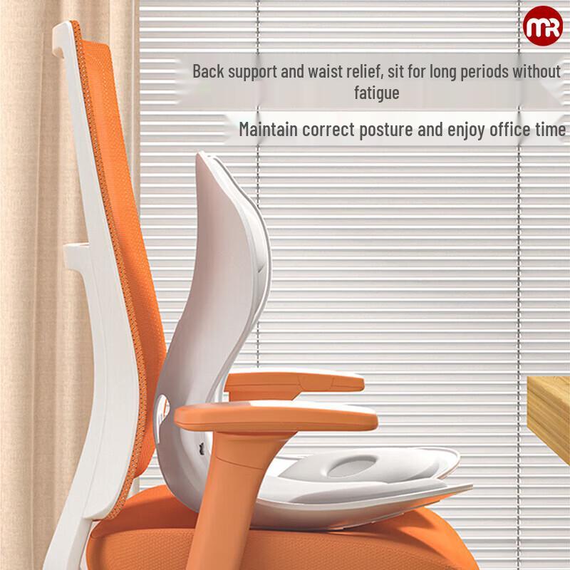 Morphy Richards Lumbar Cushion & Shoulder Massager Gift Set CN plug (adapter included)