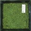 Shizuoka Kakegawa Tea Deep Steamed Hachijuhachiya 100g Produced 100 Saji Hon Seicha