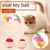 Interaktives Katzenspielzeug Sisal Kratzball mit Feder zum Kauen Zähne Schleifen Training Langlebiges Haustier Spielzeug Zubehör Geeignet
