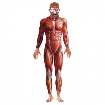 Smiffys Mens Anatomy Man Costume