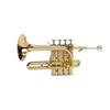 Classic Cantabile Piccolo Trumpet - Pt-196 Bb