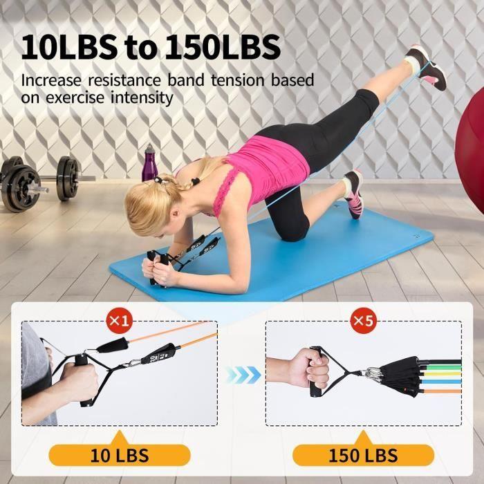 Bande De Résistance - Himaly - 5 Niveaux - 100/150LBS - Équipement De Musculation - Mixte